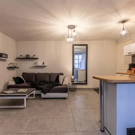 Grand Studio Rue Grenier A Apartment *