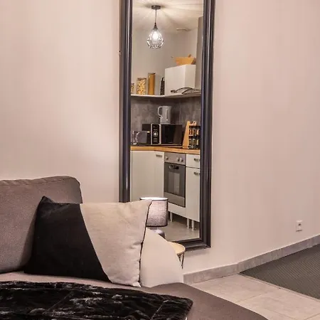 Grand Studio Rue Grenier A Apartment