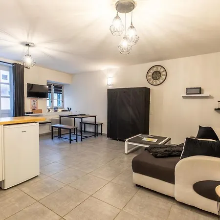 Grand Studio Rue Grenier A Apartment Riom