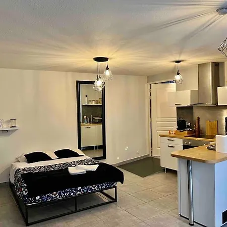 Apartment Grand Studio Rue Grenier A *