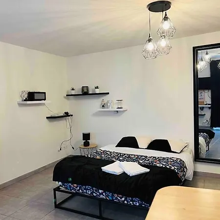 Grand Studio Rue Grenier A * Riom